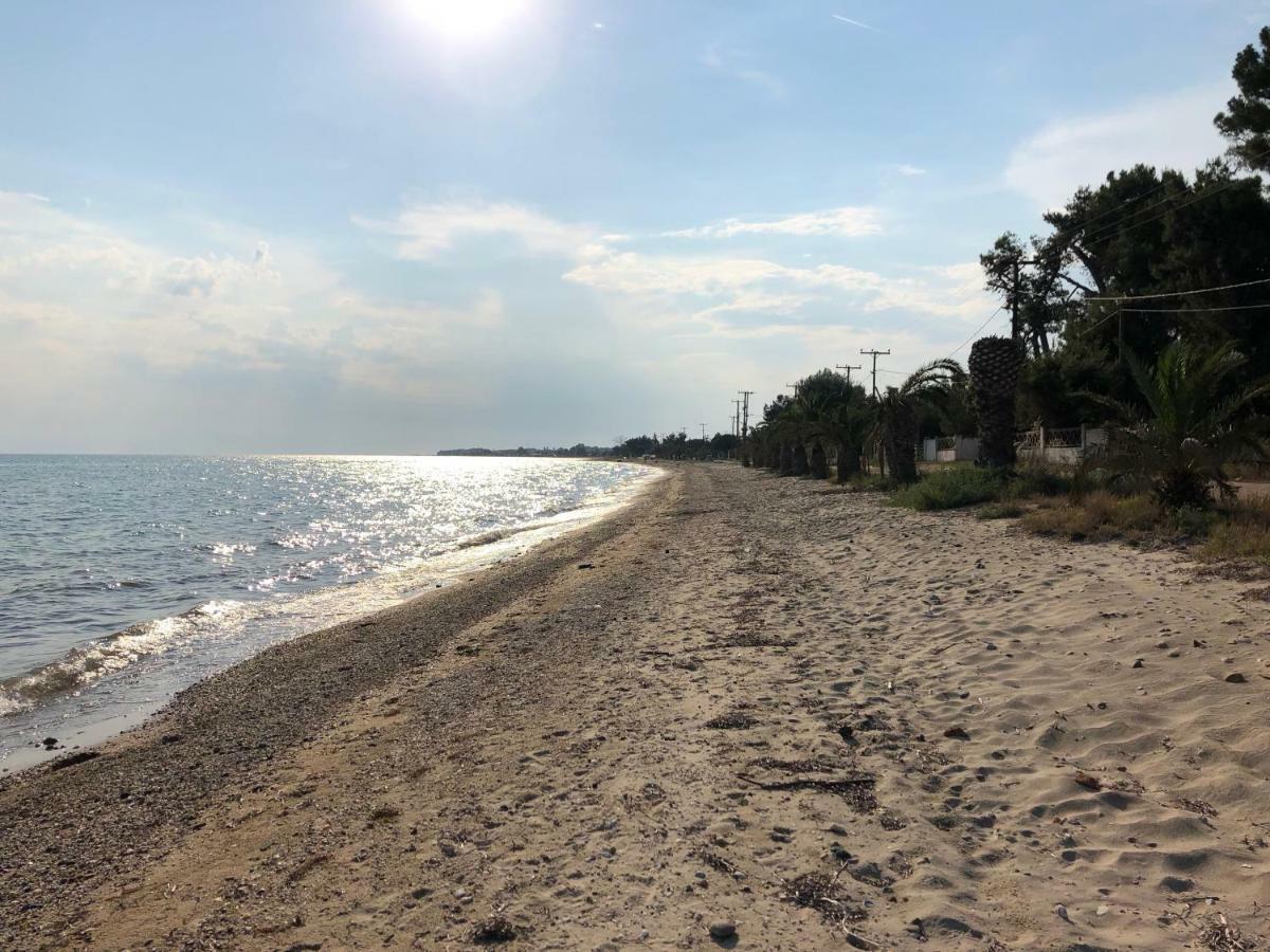 Nea Triglia Beachfront Cottage מראה חיצוני תמונה